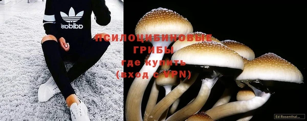 соль курить ск Михайлов