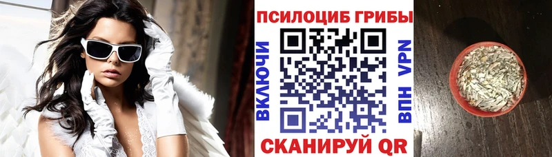 omg как войти Алушта Галлюциногенные грибы мухоморы