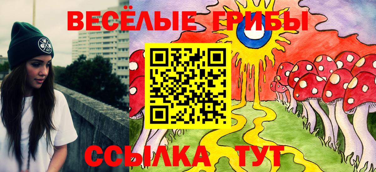 Алушта  Галлюциногенные грибы прущие грибы  Вход с VPN 