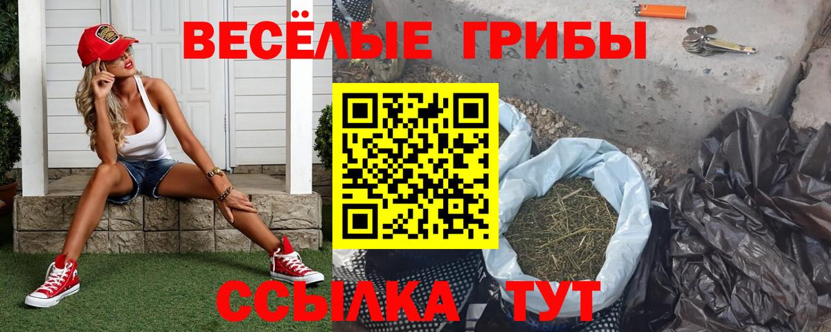 Псилоцибиновые грибы GOLDEN TEACHER Алушта
