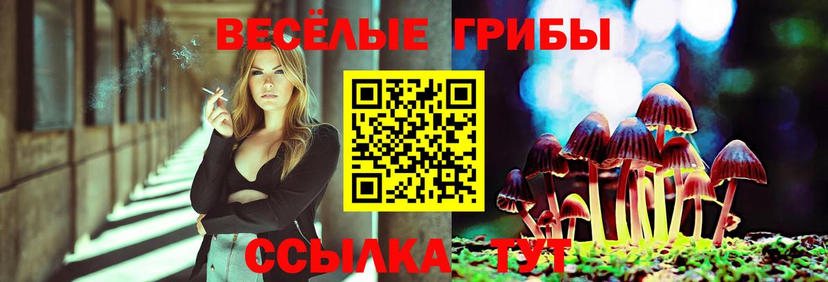 Псилоцибиновые грибы MAGIC MUSHROOMS  Псилоцибиновые грибы MAGIC MUSHROOMS  Алушта 